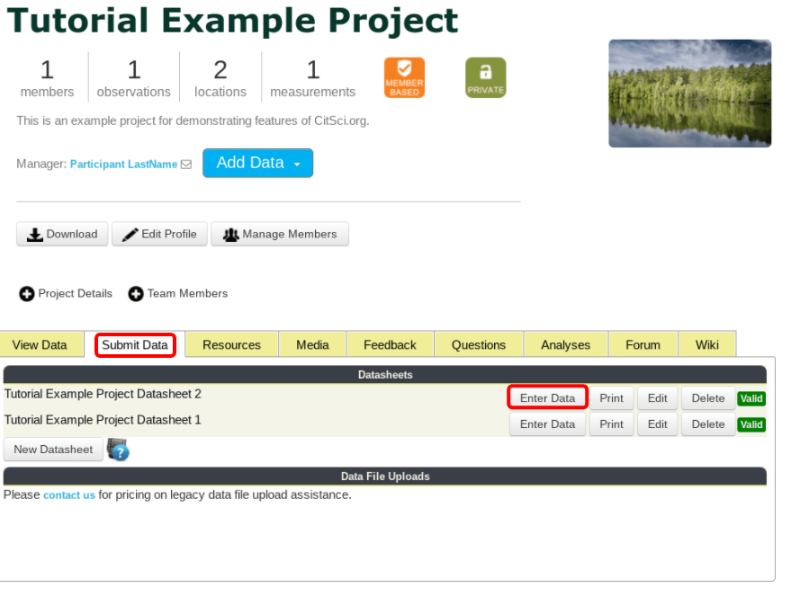 Submit Data Tab and Enter Data Tab Highlighted in an Example Project