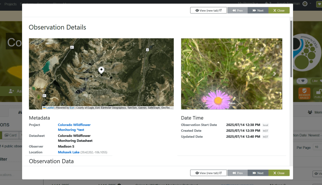 Screenshot of the observation details modal, which appears over the Observations page